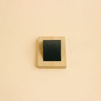 Bamboo and wood earring...