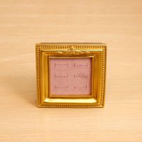 Resin Mini Ring Phot...