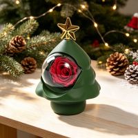 Christmas tree with lan...